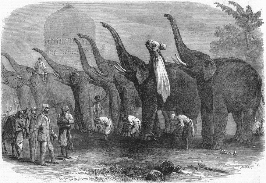  'A squad of elephants saluting the commandant at Dinapore, India' Joseph Austin Benwell