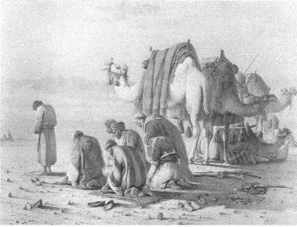An Arab Camel Train at Prayer in the Desert