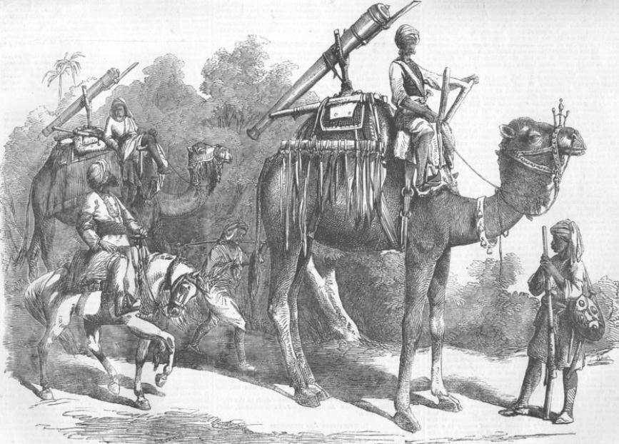 Camel Jingalls Illustrated London News 1858 Joseph Austin Benwell