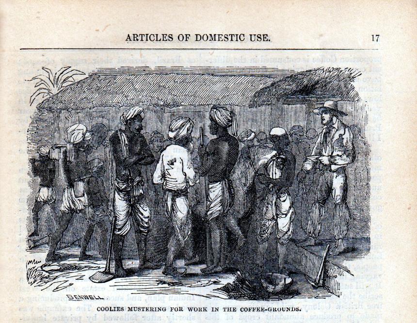 Coolies mustering for work in the coffee-grounds'. Family Friend vol VI, 1854 Benwell