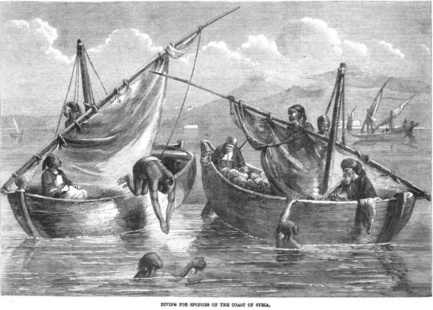 Diving for sponges on the coast of Syria Illustrated London News 1862