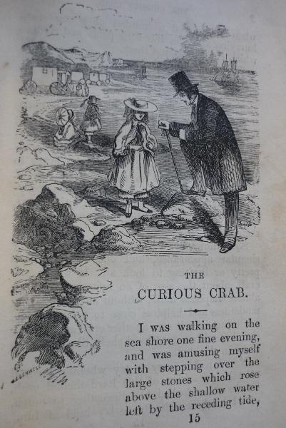 The Curious Crab, Narratives for Youth